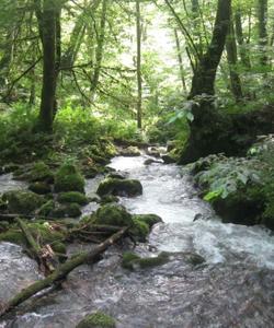 Треккинг в долине реки Шахэ