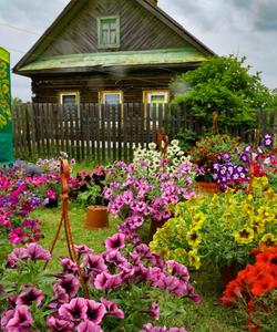 Петровская ярмарка