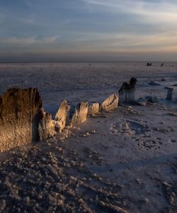 Местная природа