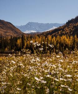 Горный Алтай