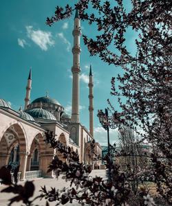 Мечети Чечни