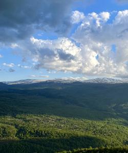 Плато Лаго-Наки