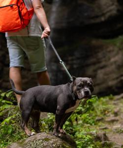 Турист в Кабардино-Балкарии