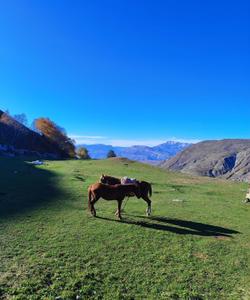 Тур в Дагестан