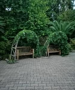 Батумский ботанический сад