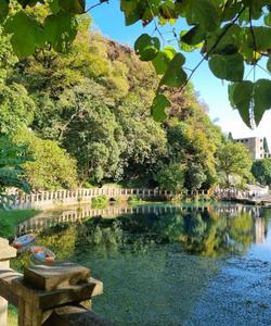 тур в Абхазию