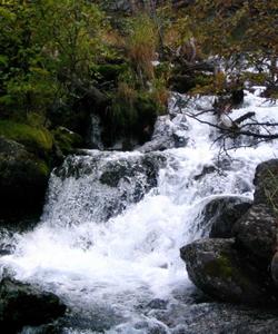 Местный пейзаж