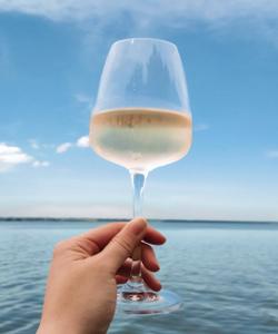 Винный тур в Краснодарский край