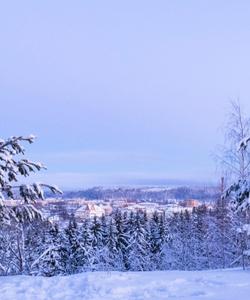 Тур в Карелию
