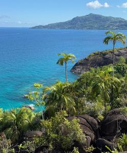 Тур на Сейшелы