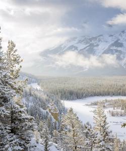 Зимний тур на Алтай