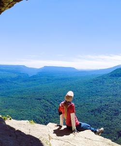 Орлиная полка