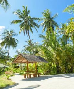 Отдых на Мальдивах