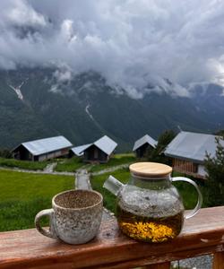 Горный пейзаж