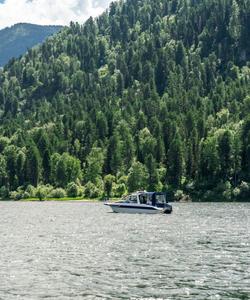 Водная экскурсия на катере по Телецкому озеру