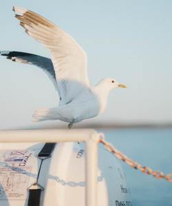 Переход по Белому морю