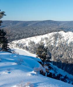 Зимний пейзаж