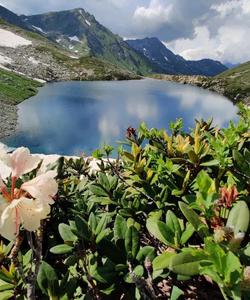 Горное озеро