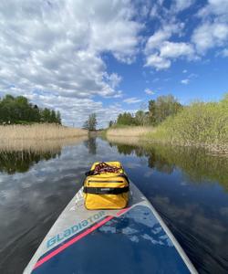 сап-прогулка в Ленобласти