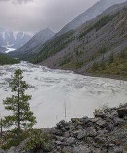 Местный пейзаж