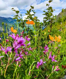 природа Кавказа