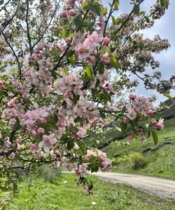 Горный пейзаж