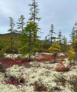 Поход по Магаданской области