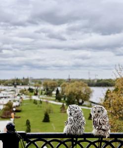 Тур по Золотому кольцу