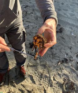 Тур на полуострова Средний и Рыбачий