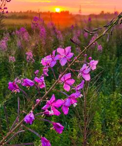 Природа Карелии