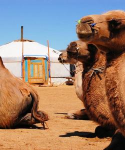 этнотур в Калмыкию