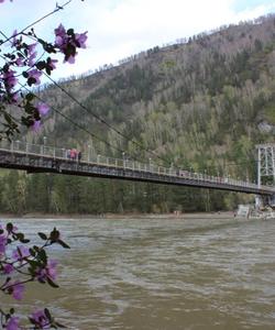 Мост на Бирюзовую