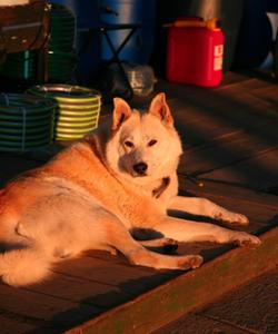 Тур по селам Архангельской области