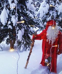 Карельское поместье Деда Халла