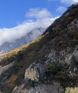 Северная Осетия