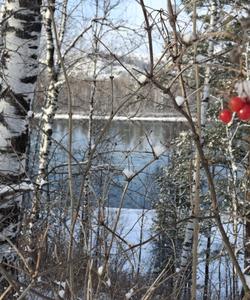 Местная природа