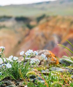 Полярный Урал