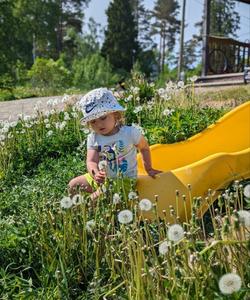 Кемпинг на острове Кильпола