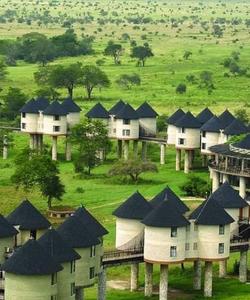 Сафари в Цаво Вест