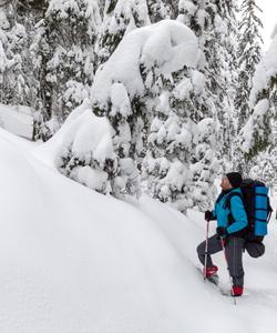 Зимний поход в Ленинградской области