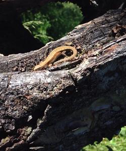 Тур на плато Кваркуш