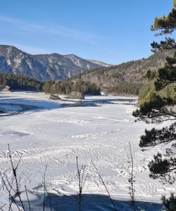 Местная природа