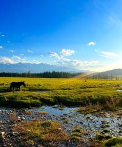 Природа Алтая