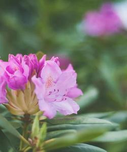 Поход на Большой Тхач