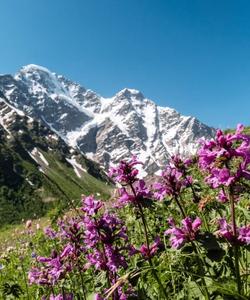 Треккинг на гору Чегет