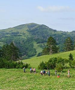 Пеший поход по острову Шикотан