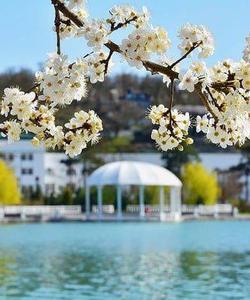 Абрау-Дюрсо