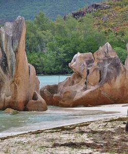 Местная природа