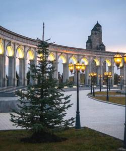 Местные пейзажи