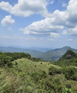 тур в Шри-Ланку